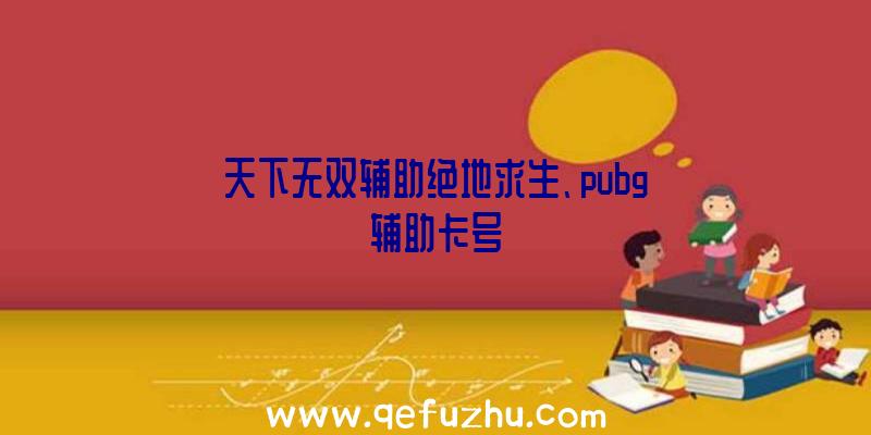 天下无双辅助绝地求生、pubg辅助卡号