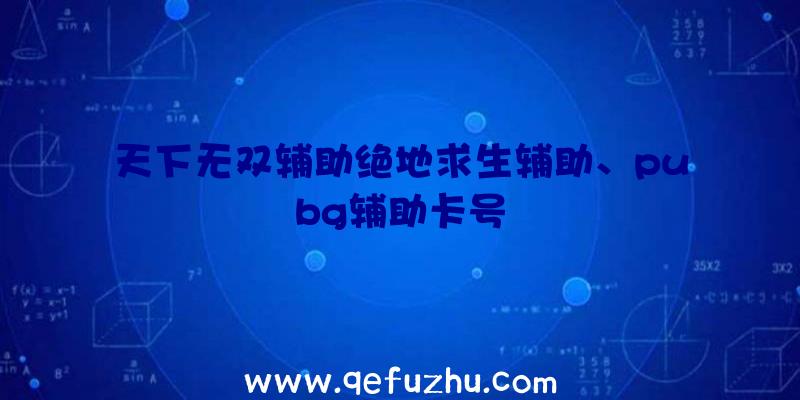 天下无双辅助绝地求生辅助、pubg辅助卡号