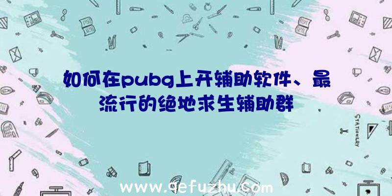 如何在pubg上开辅助软件、最流行的绝地求生辅助群