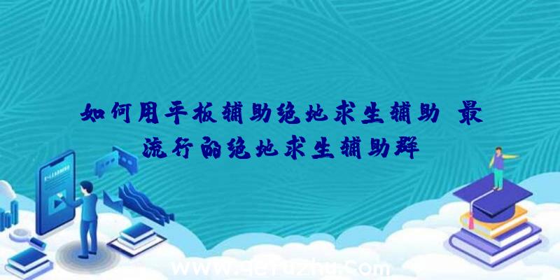 如何用平板辅助绝地求生辅助、最流行的绝地求生辅助群