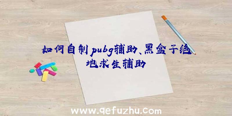 如何自制pubg辅助、黑盒子绝地求生辅助