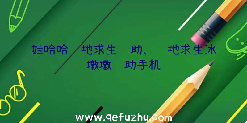 娃哈哈绝地求生辅助、绝地求生冰墩墩辅助手机