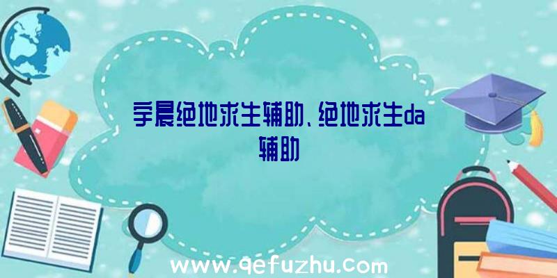 宇晨绝地求生辅助、绝地求生da辅助