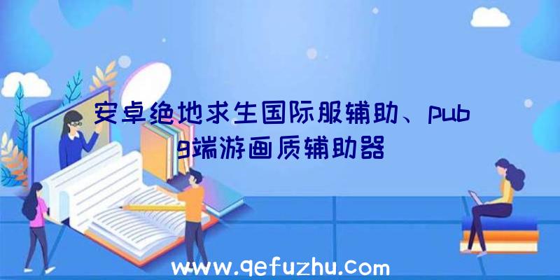 安卓绝地求生国际服辅助、pubg端游画质辅助器