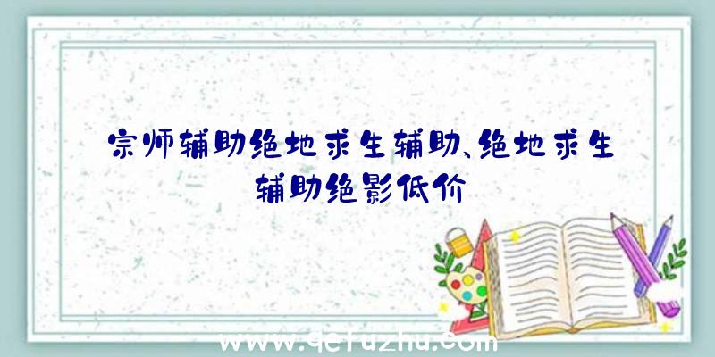 宗师辅助绝地求生辅助、绝地求生辅助绝影低价