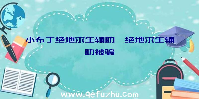 小布丁绝地求生辅助、绝地求生辅助被骗