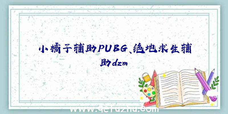 小橘子辅助PUBG、绝地求生辅助dzm