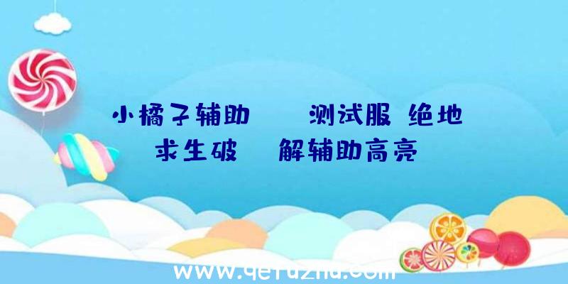 小橘子辅助pubg测试服、绝地求生破解辅助高亮