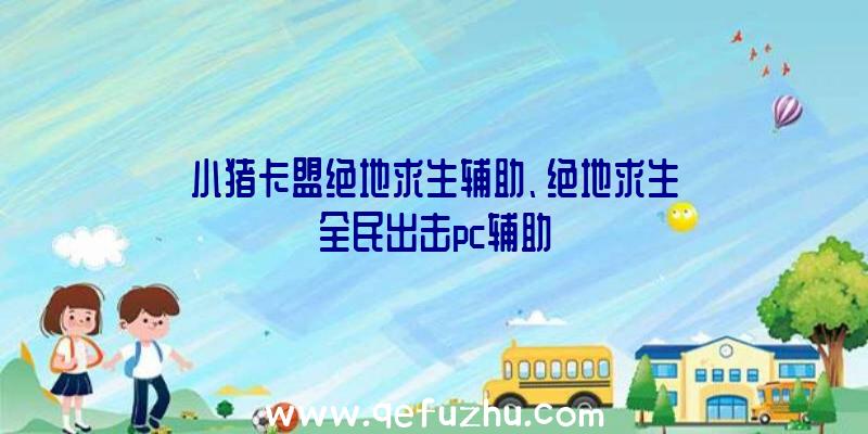 小猪卡盟绝地求生辅助、绝地求生全民出击pc辅助