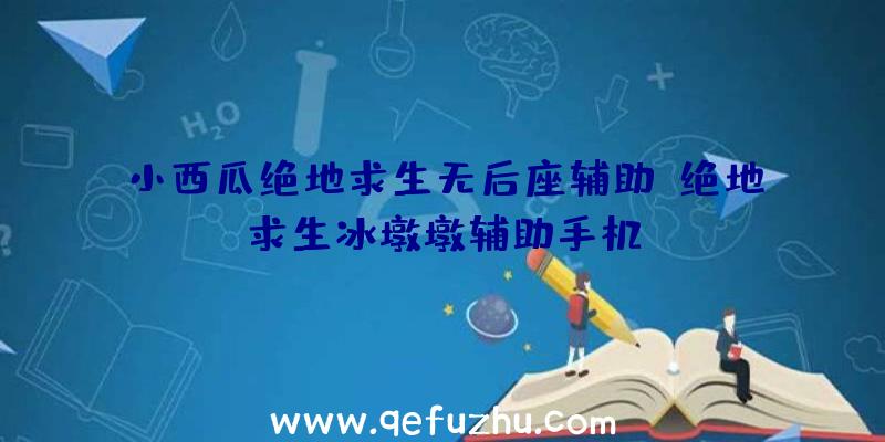 小西瓜绝地求生无后座辅助、绝地求生冰墩墩辅助手机