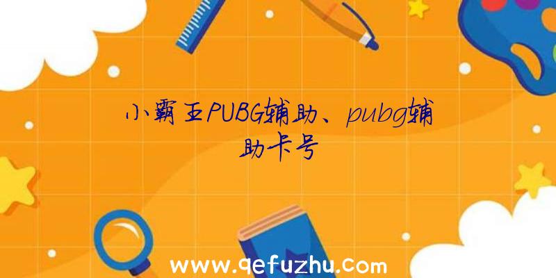 小霸王PUBG辅助、pubg辅助卡号