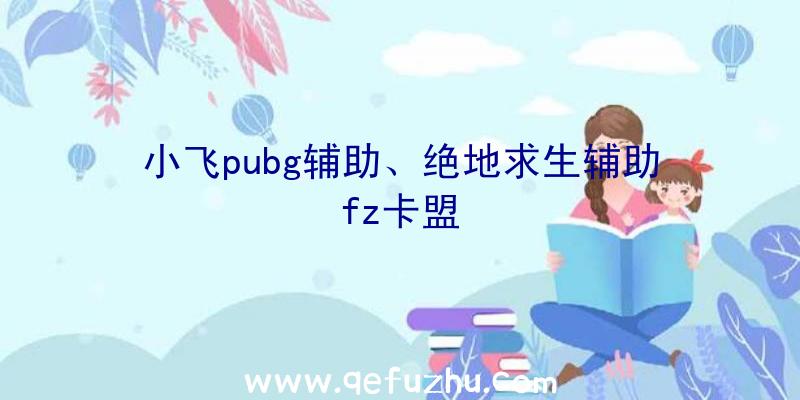 小飞pubg辅助、绝地求生辅助fz卡盟