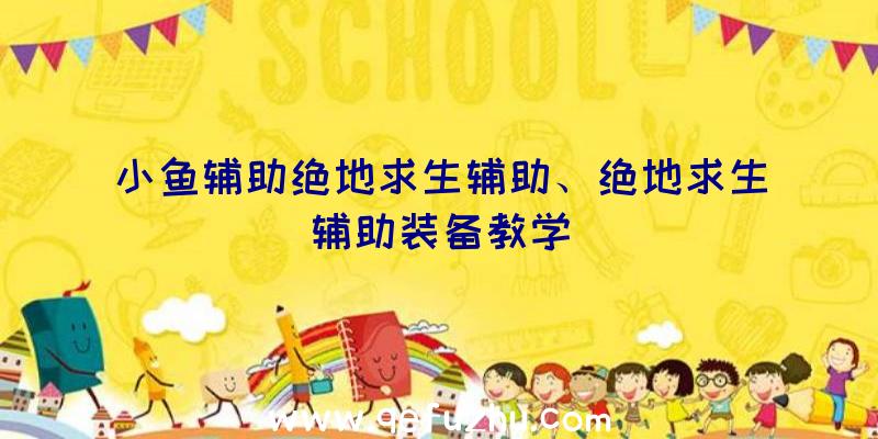 小鱼辅助绝地求生辅助、绝地求生辅助装备教学