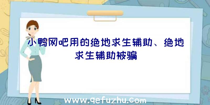 小鸭网吧用的绝地求生辅助、绝地求生辅助被骗