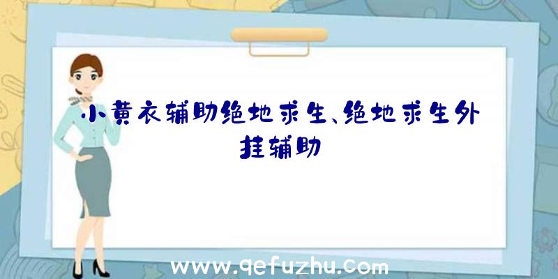 小黄衣辅助绝地求生、绝地求生外挂辅助