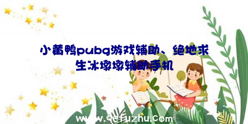 小黄鸭pubg游戏辅助、绝地求生冰墩墩辅助手机