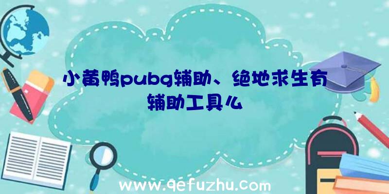 小黄鸭pubg辅助、绝地求生有辅助工具么