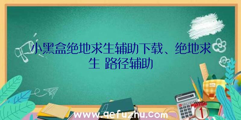 小黑盒绝地求生辅助下载、绝地求生