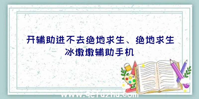 开辅助进不去绝地求生、绝地求生冰墩墩辅助手机