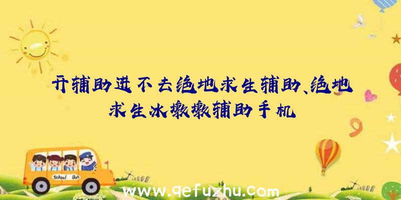 开辅助进不去绝地求生辅助、绝地求生冰墩墩辅助手机