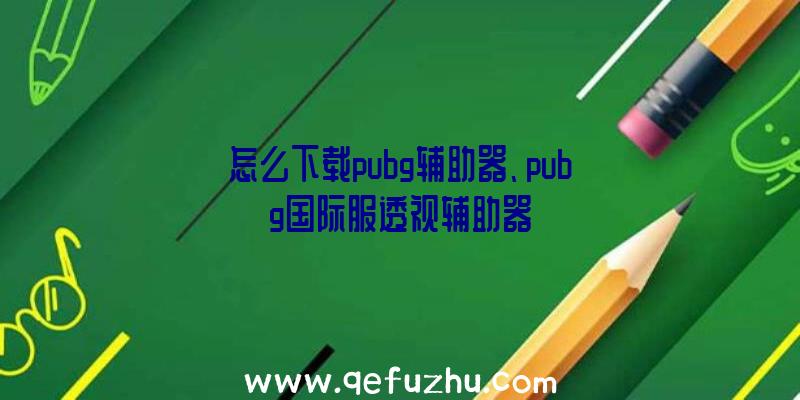 怎么下载pubg辅助器、pubg国际服透视辅助器