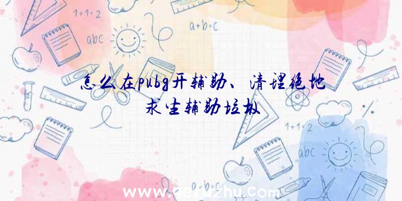 怎么在pubg开辅助、清理绝地求生辅助垃圾