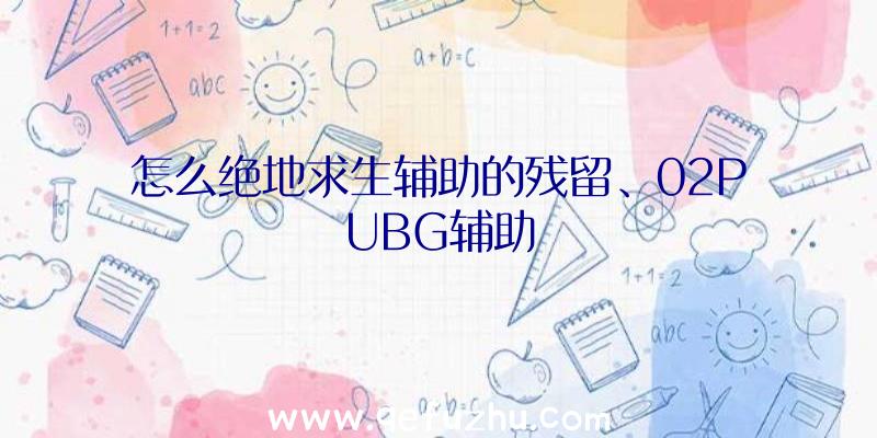 怎么绝地求生辅助的残留、02PUBG辅助