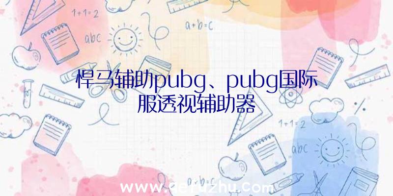 悍马辅助pubg、pubg国际服透视辅助器