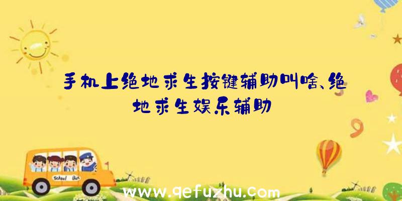 手机上绝地求生按键辅助叫啥、绝地求生娱乐辅助