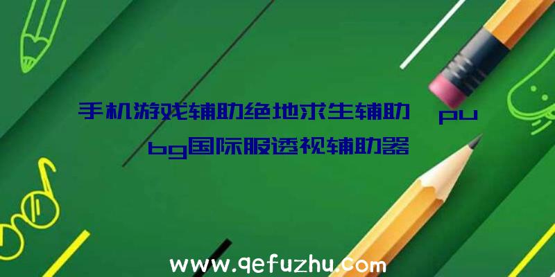 手机游戏辅助绝地求生辅助、pubg国际服透视辅助器