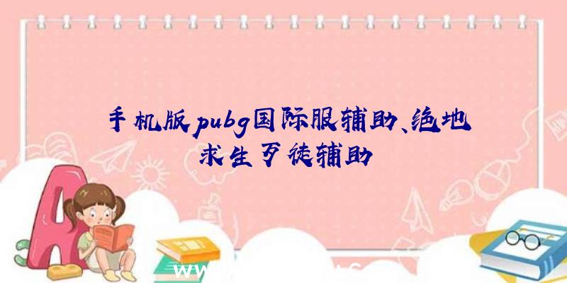 手机版pubg国际服辅助、绝地求生歹徒辅助