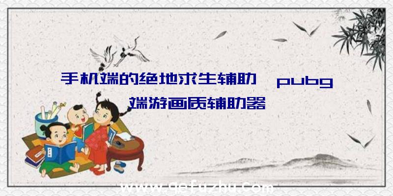 手机端的绝地求生辅助、pubg端游画质辅助器