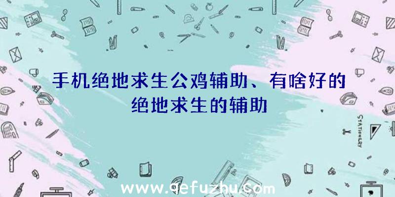 手机绝地求生公鸡辅助、有啥好的绝地求生的辅助