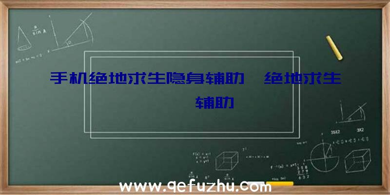 手机绝地求生隐身辅助、绝地求生迪迦辅助