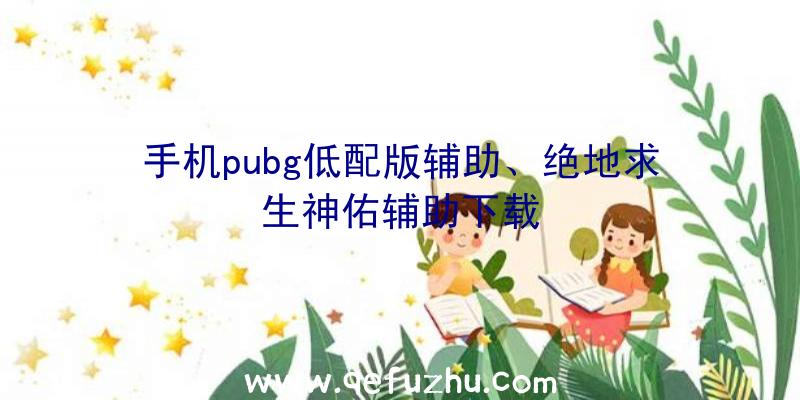 手机pubg低配版辅助、绝地求生神佑辅助下载