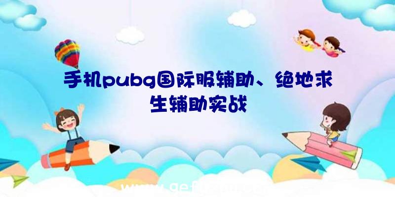 手机pubg国际服辅助、绝地求生辅助实战