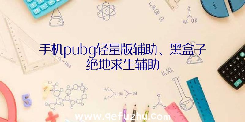 手机pubg轻量版辅助、黑盒子绝地求生辅助