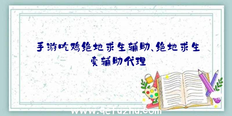 手游吃鸡绝地求生辅助、绝地求生卖辅助代理