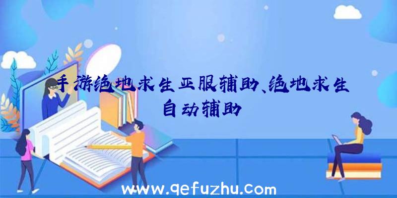 手游绝地求生亚服辅助、绝地求生自动辅助