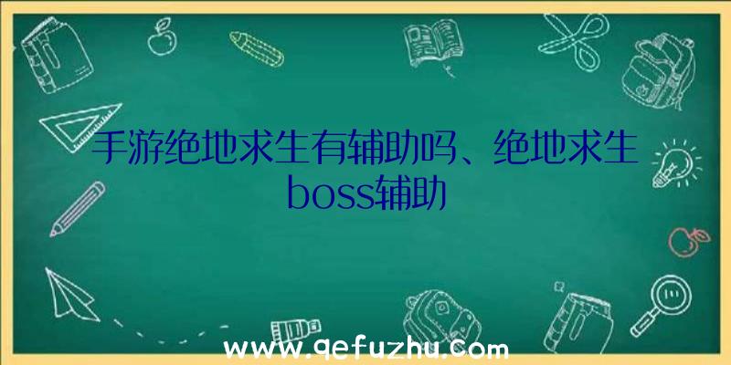 手游绝地求生有辅助吗、绝地求生boss辅助