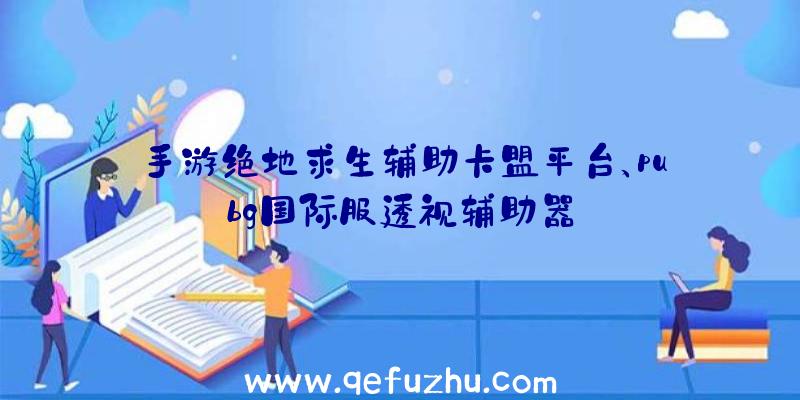 手游绝地求生辅助卡盟平台、pubg国际服透视辅助器