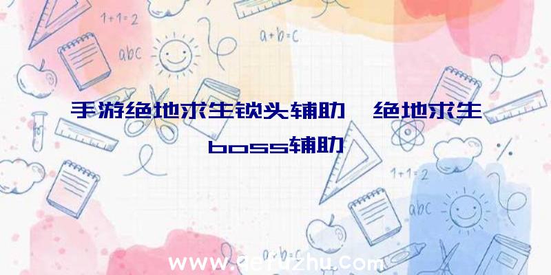 手游绝地求生锁头辅助、绝地求生boss辅助