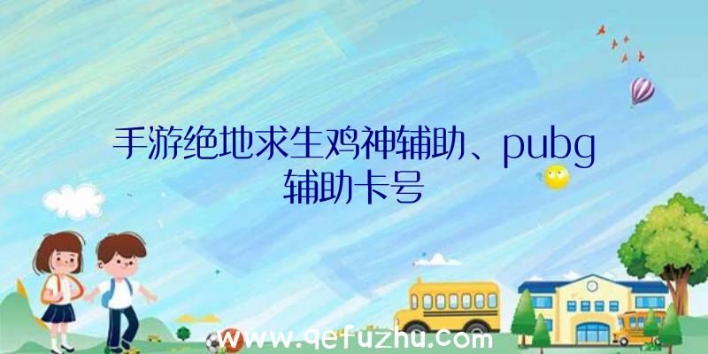 手游绝地求生鸡神辅助、pubg辅助卡号