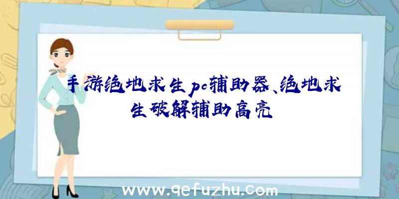 手游绝地求生pc辅助器、绝地求生破解辅助高亮