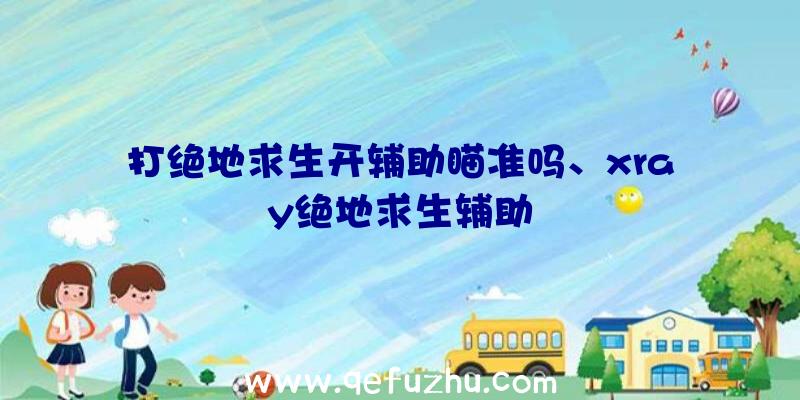 打绝地求生开辅助瞄准吗、xray绝地求生辅助