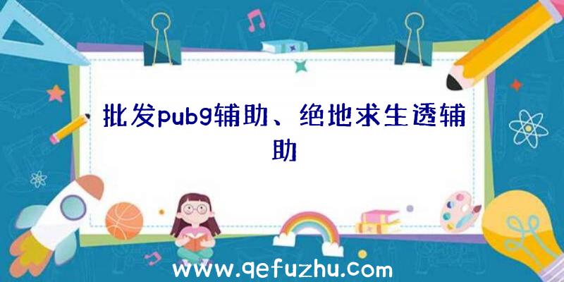 批发pubg辅助、绝地求生透辅助