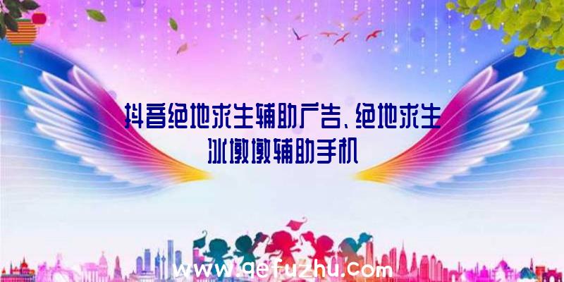 抖音绝地求生辅助广告、绝地求生冰墩墩辅助手机