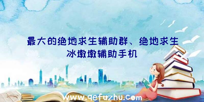 最大的绝地求生辅助群、绝地求生冰墩墩辅助手机