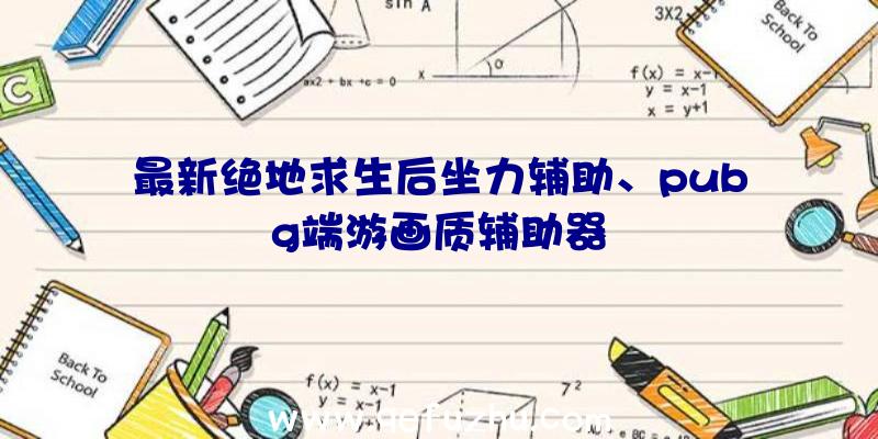 最新绝地求生后坐力辅助、pubg端游画质辅助器