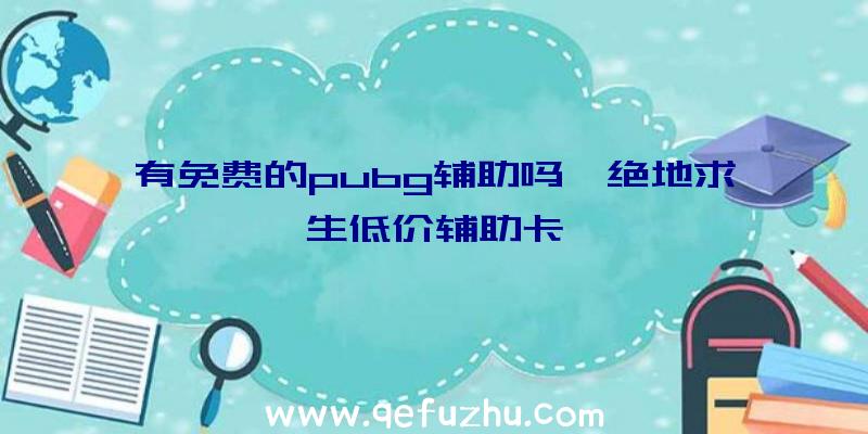 有免费的pubg辅助吗、绝地求生低价辅助卡